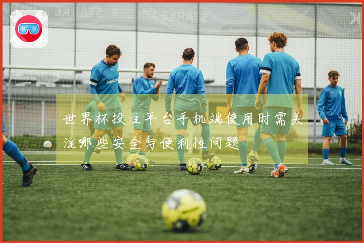 世界杯投注平台手机端使用时需关注哪些安全与便利性问题