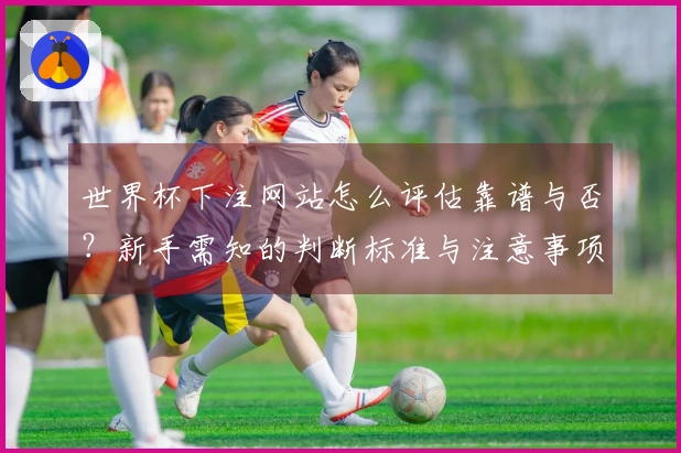 世界杯下注网站怎么评估靠谱与否？新手需知的判断标准与注意事项