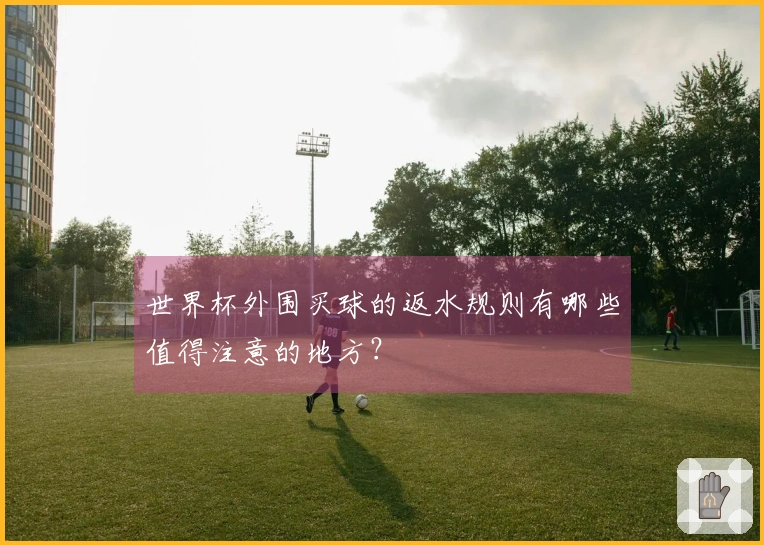 世界杯外围买球的返水规则有哪些值得注意的地方？