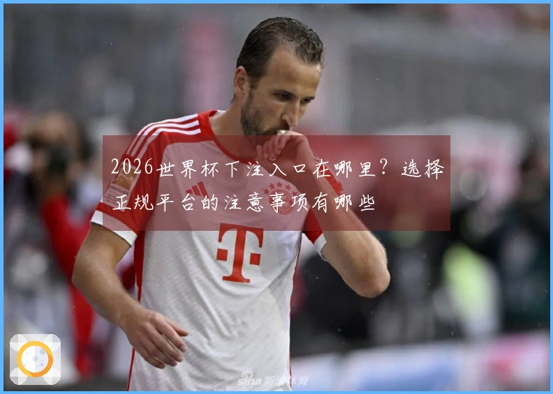2026世界杯下注入口在哪里？选择正规平台的注意事项有哪些