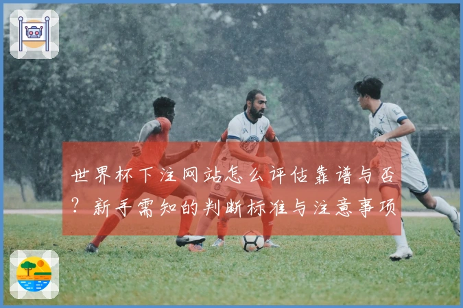 世界杯下注网站怎么评估靠谱与否？新手需知的判断标准与注意事项