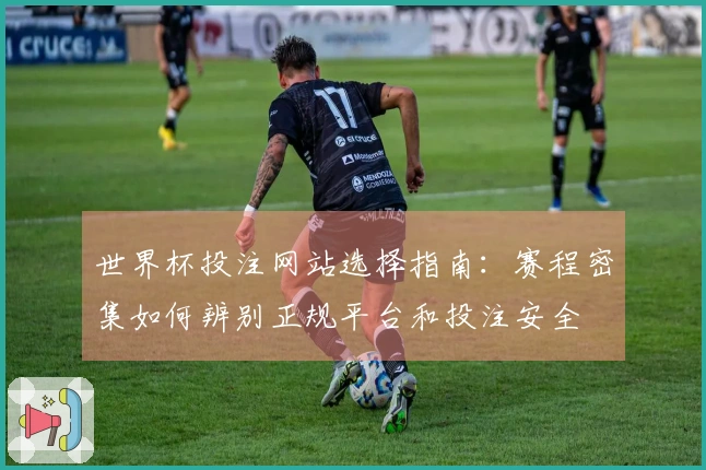 世界杯投注网站选择指南：赛程密集如何辨别正规平台和投注安全