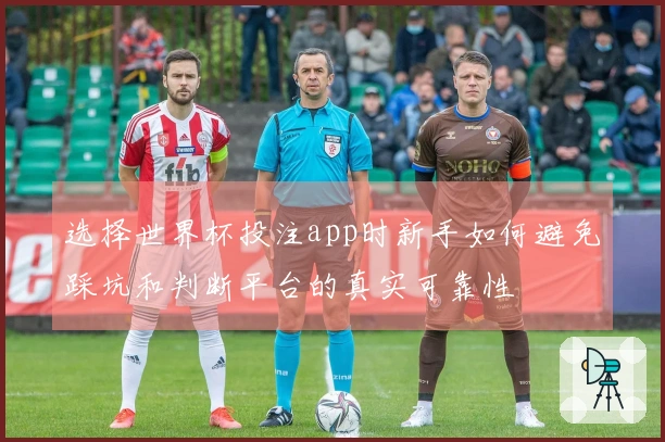 选择世界杯投注app时新手如何避免踩坑和判断平台的真实可靠性