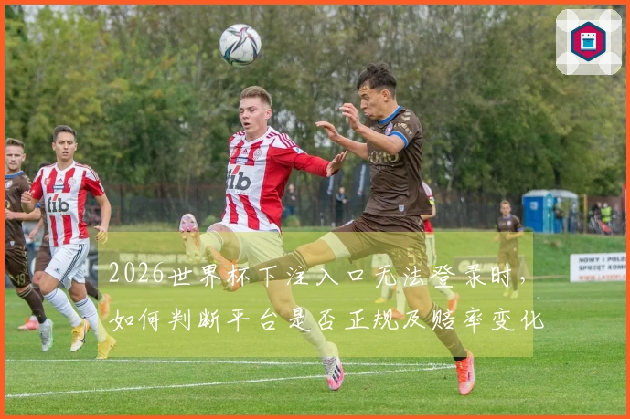 2026世界杯下注入口无法登录时，如何判断平台是否正规及赔率变化？