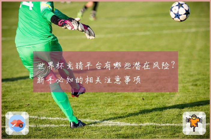 世界杯竞猜平台有哪些潜在风险？新手必知的相关注意事项